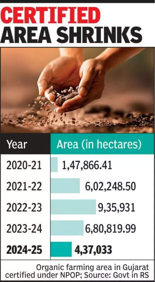 Gujarat’s certified organic farming area halves in 2 yrs