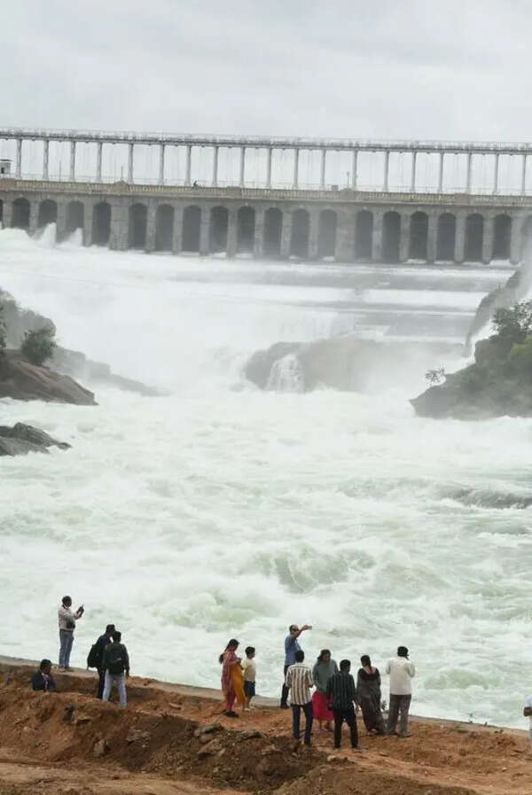 CWMA directs Karnataka govt to release 2.5tmcft to TN