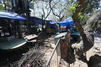 Residents flag poor maintenance of greenbelts in Gurgaon