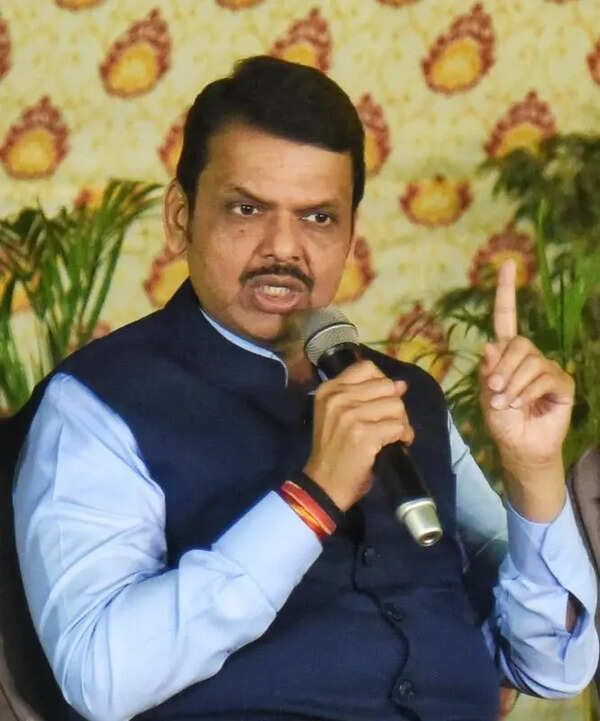 Activist’s jab at ex-CJI ‘publicity stunt’: Fadnavis