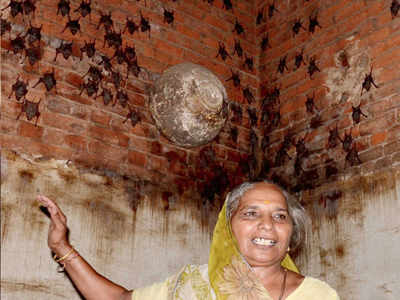 Gujarat: This ‘bat woman’ is not scared of Nipah virus