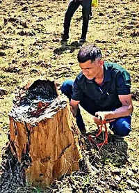 ISRO images, drone captures expose 1 lakh trees felled in Chhattisgarh tiger reserve's core area