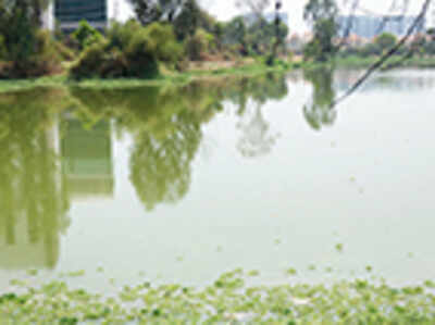 A whiff of Ulsoor at Bellandur