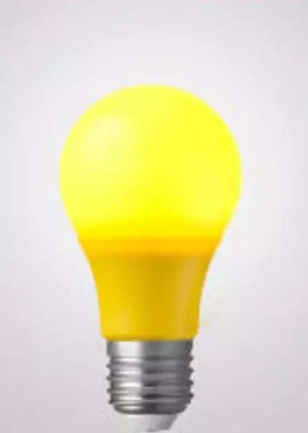 Truck driver held for theft of LED bulbs worth Rs45L