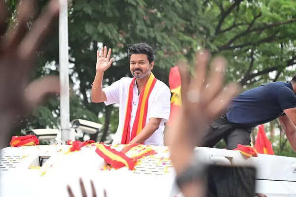 VCK man seeks action against Vijay over campaign remarks
