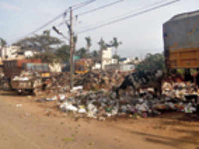 Garbage collection point makes life hell for residents