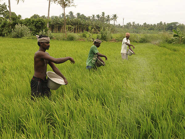 Farmer’s suicide may hit Maharashtra government