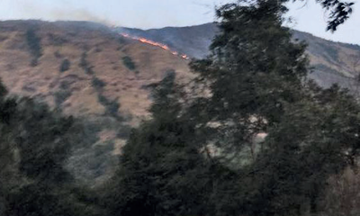 Mangaluru: First forest fire spotted in Western Ghats, way too earlier than usual