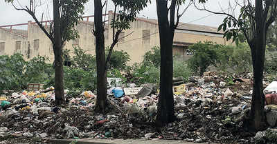 Geetanjali Layout troubled by potholes and garbage