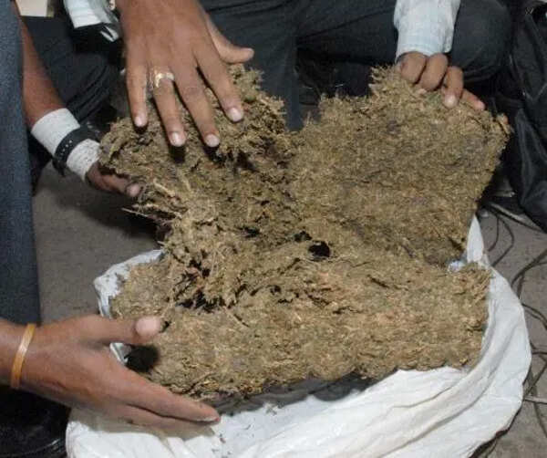 8.5kg ganja seized in Trichy Junction