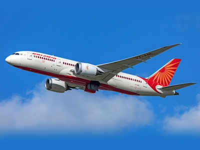 Multiple bidders in the race to buy Air India: Govt