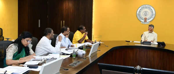 Naidu directs faster execution of key irrigation projects
