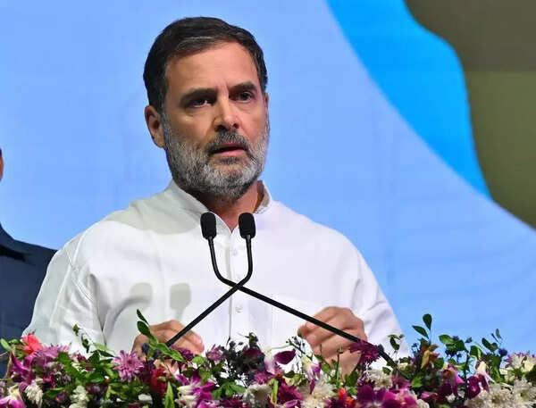 Rahul to lead 17-day Bihar campaign against voter list revision from August 9