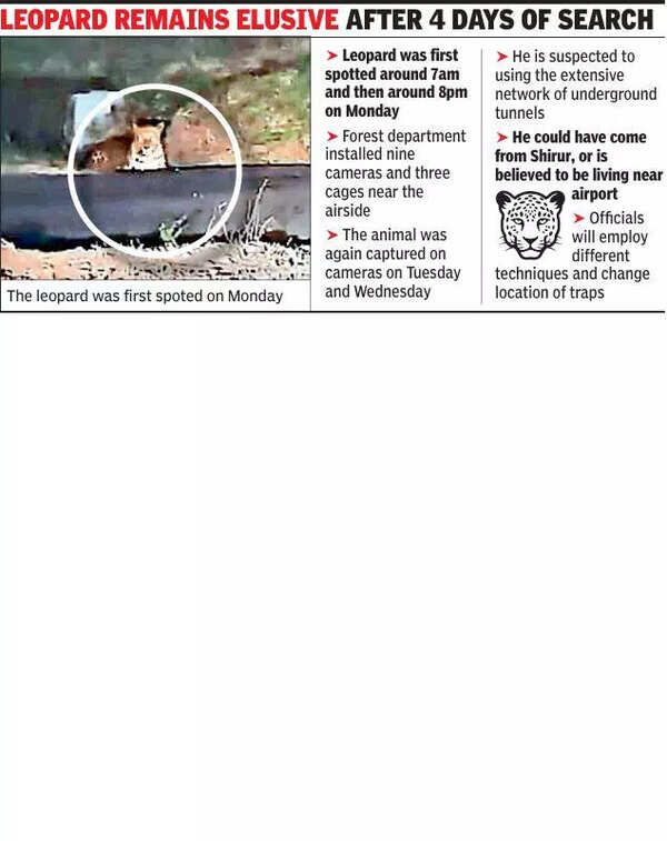 No fresh sightings, but leopard still within Pune airport compound: Forest officials