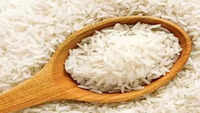 'Payments worth Rs 2,000-25,000 crore pending': West Asia crisis hits Basmati exports