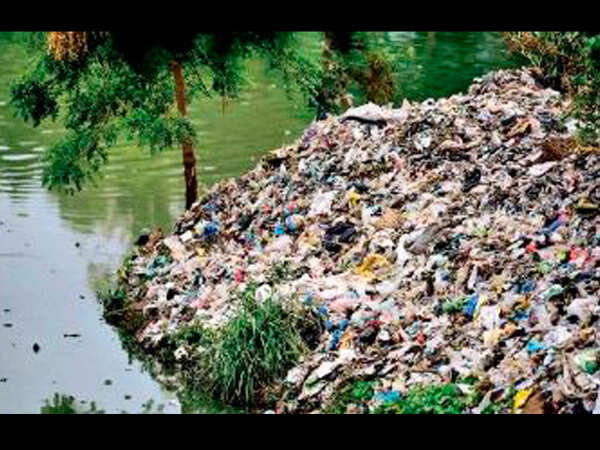 Plastic-free Hyderabad has to be citizens' movement