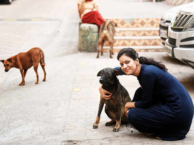 Dy registrar tells society to revoke fine for feeding strays