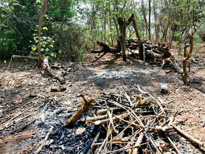 Paver blocks at Mahim park raise eyebrows