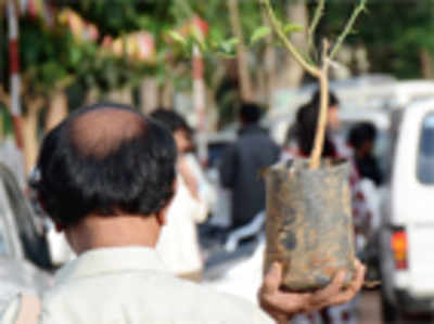 Saplings don’t survive due to smaller polythene covers: Ex forest minister