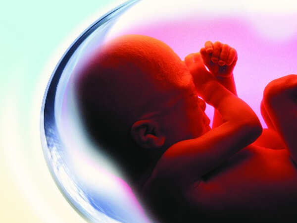 Crude birth rate of Andhra drops by 2.5 in 10 years