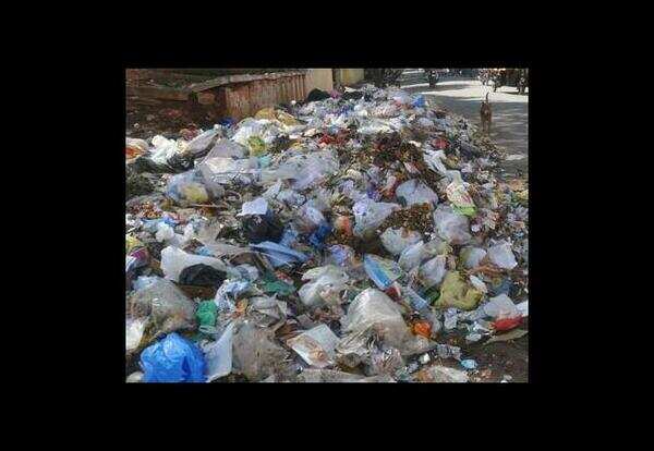 'Selfie with garbage' to highlight MC's laxity
