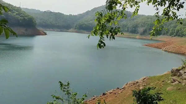 Sharp dip in Idukki dam water level