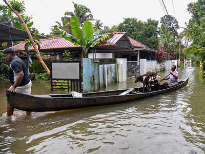 Kerala rains live updates: Let-up in downpour; Idukki landslide toll rises to 49