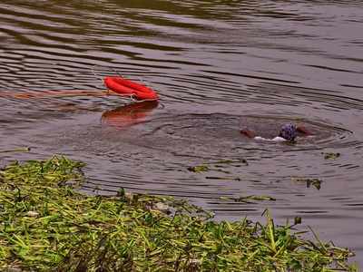Kolkata: Two boys drown in Ganga river while shooting a video