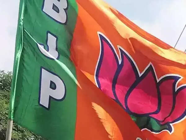 BJP trying to get new allies in TN & other states, tweaking ally strategy