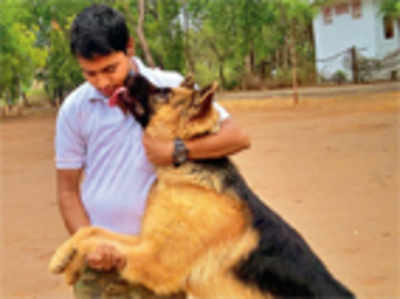 Rana to head state’s forest sniffer squad