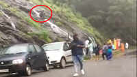 Karnataka: Youth falls off cliff while taking selfie at Charmadi Ghat, video goes viral 