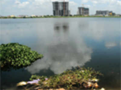 Lake pollution: Case against BWSSB brass