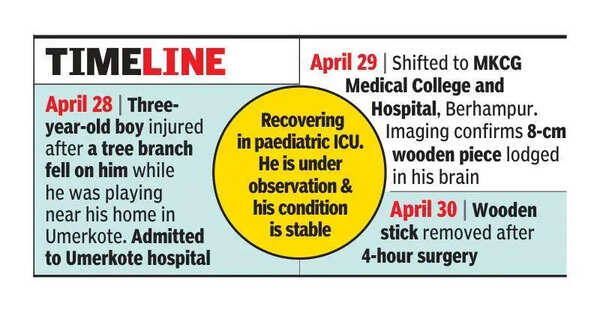 MKCG docs remove 8cm twig from 3-yr-old’s brain