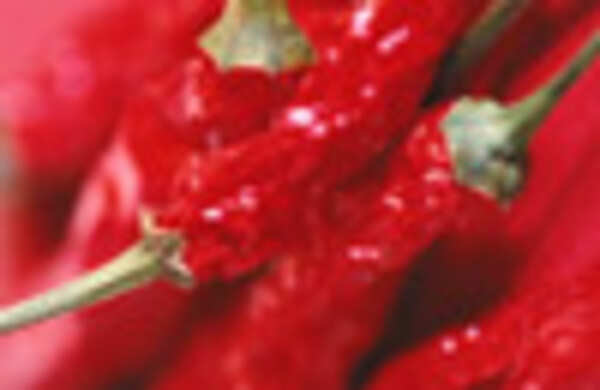 Chili supplements don't burn away fat