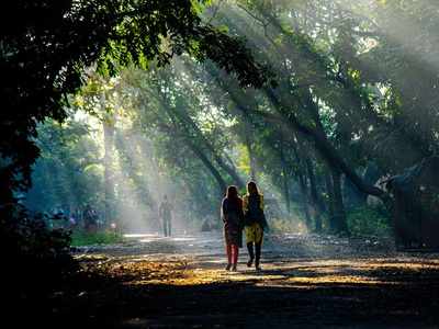 Mumbai records lowest temperature of the year at 15.3 degrees Celsius