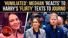 Meghan 'Blindsided' As Prince Harry's Flirty Messages To Journalist Surface In Court, Claim Insiders
