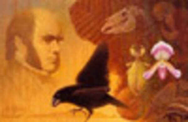 Spiritual theory of evolution
