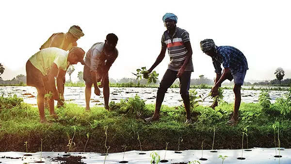 Will Bastar in Chhattisgarh defy Maoists to vote?
