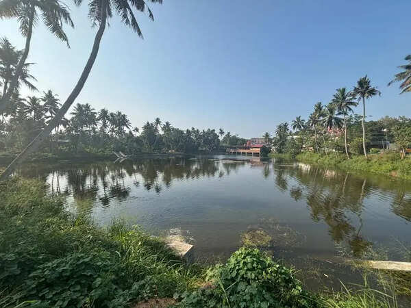 Revived village ponds stay brimming in peak summer offer model for water conservation in Thiruvananthapuram