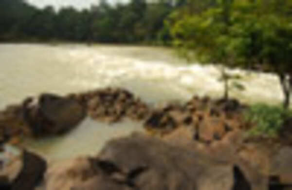 Dandeli: Gateway to nature’s treasures