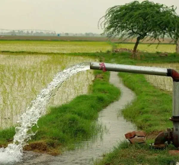 CPCB report flags contamination in Punjab groundwater
