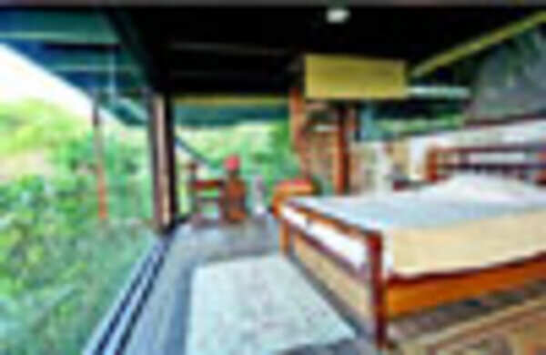Spend your summer on treetops!