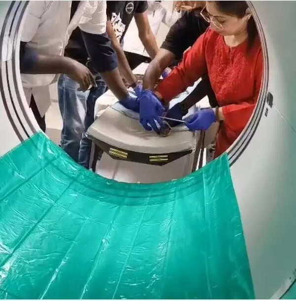 Mumbai vets perform city’s first CT scan on Indian Rock python