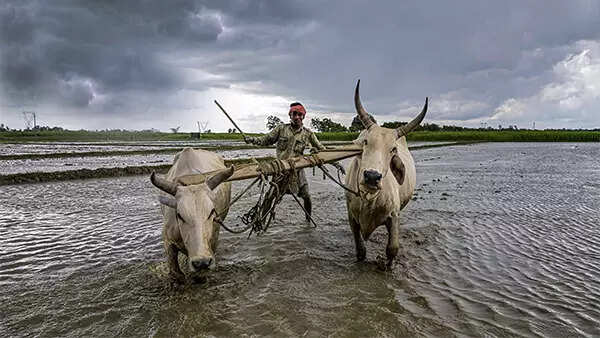 In charts: Why farming is bad business in India