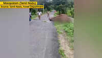 Elephant’s carcass found on road in Tamil Nadu 