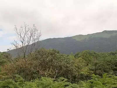 Group pushes aside forest officials, buries body in reserved forest area