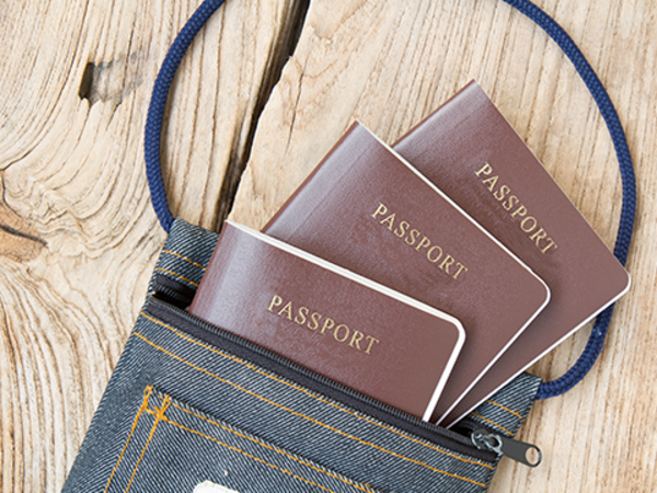 Who is getting the most H-1B visas?