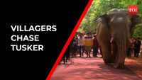 Video: Odisha villagers chase tusker 