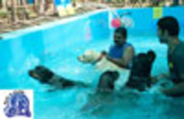 Paws up! Now, furry friends get day care