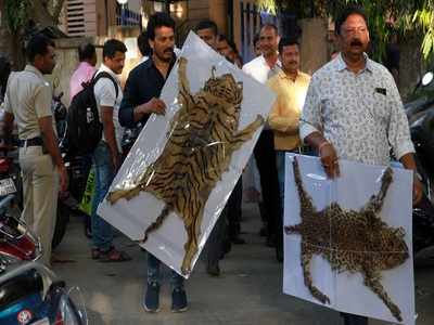 Uber driver held in Thane for smuggling tiger, leopard skins